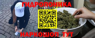 твердый Лесосибирск