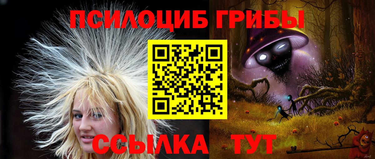 Элиста  Галлюциногенные грибы мицелий  Вход с VPN 