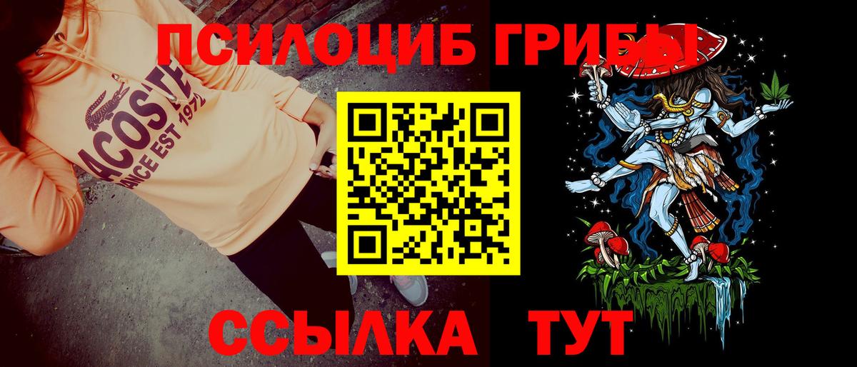 Псилоцибиновые грибы Cubensis Элиста